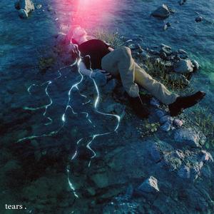 可以看的东北操逼图片
